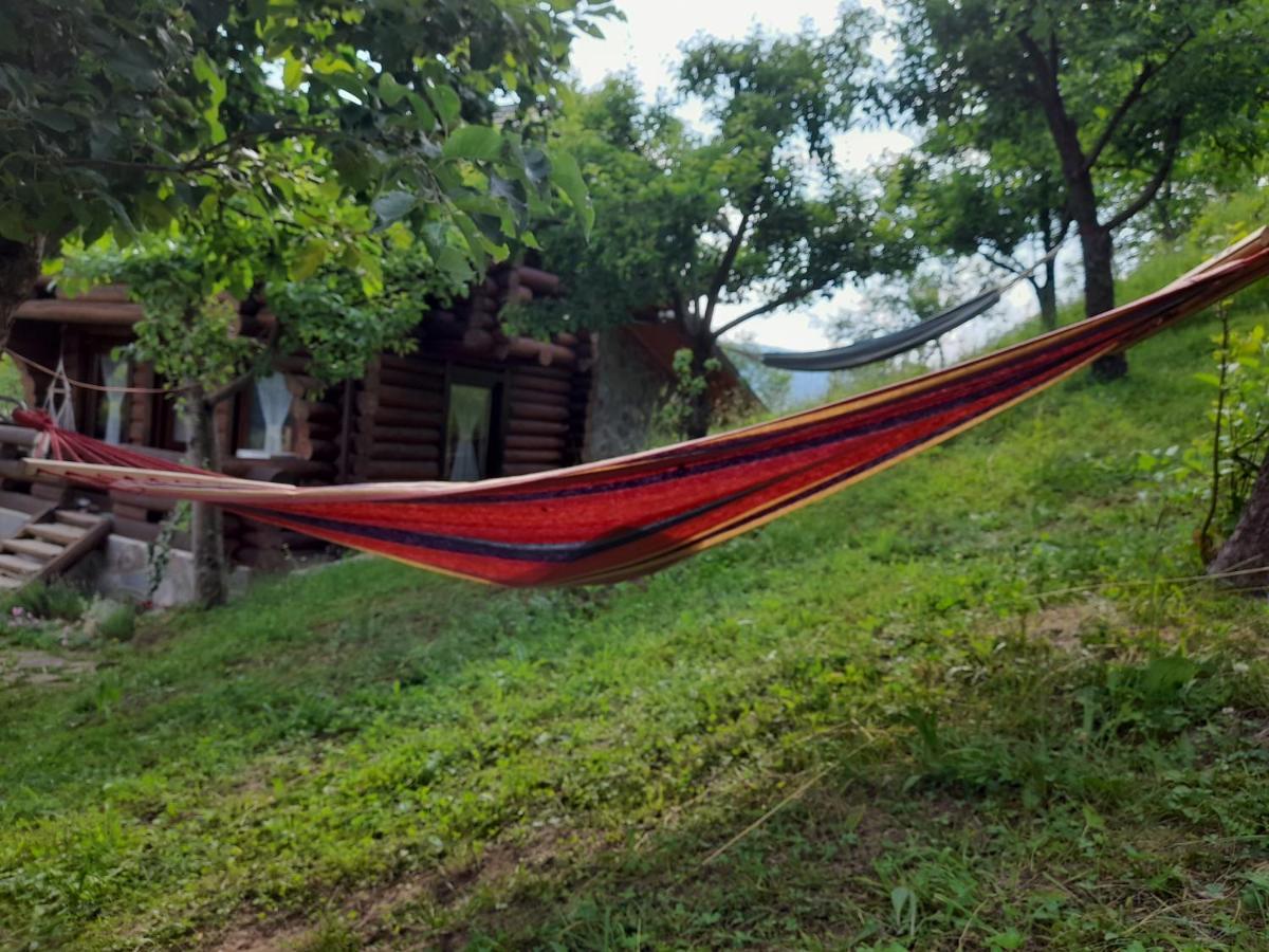 Cabana Din Revier วิโชเดโจส ภายนอก รูปภาพ